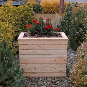 Pia Larch Planter
