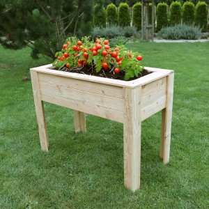 Stef Larch Planter