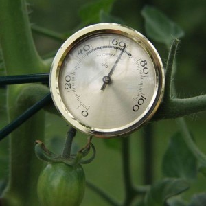 Vitavia Hygrometer