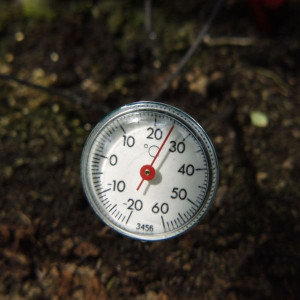 Vitavia Soil Thermometer