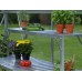 Vitavia Top Tier Staging