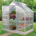 Venus Greenhouse