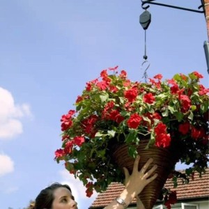 The 'Hi Lo' Hanging Basket Adjuster